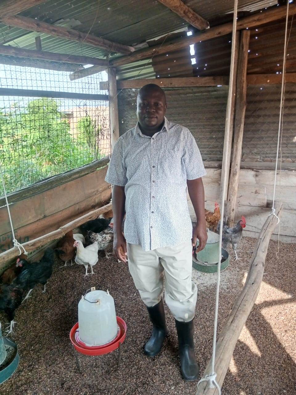 Attendant checking on birds in the growers' cage