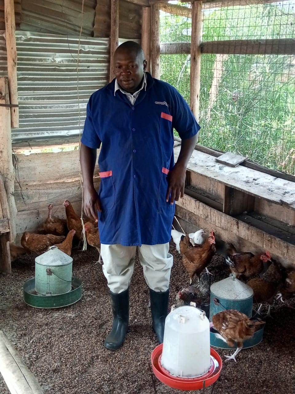 Attendant placing a feeder into the growers' cage